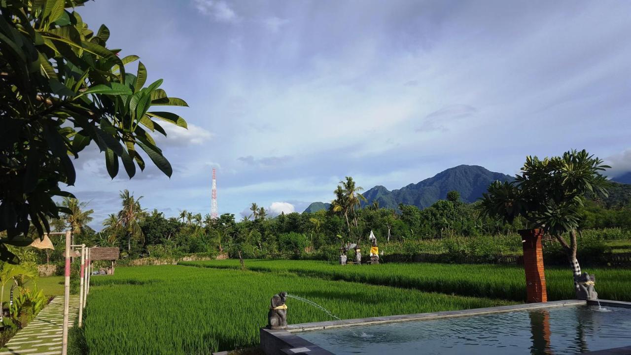 Отель Umma Bali Menjangan Retreat Баньюведанг Экстерьер фото
