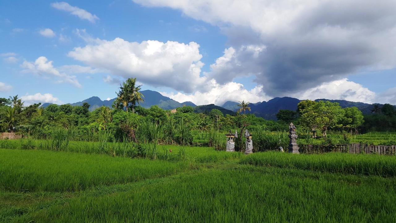 Отель Umma Bali Menjangan Retreat Баньюведанг Экстерьер фото