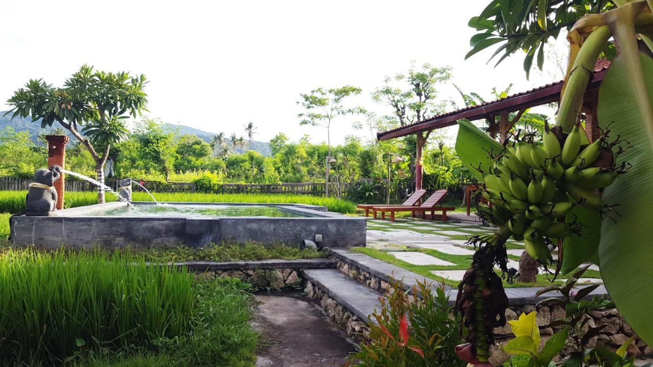 Отель Umma Bali Menjangan Retreat Баньюведанг Экстерьер фото
