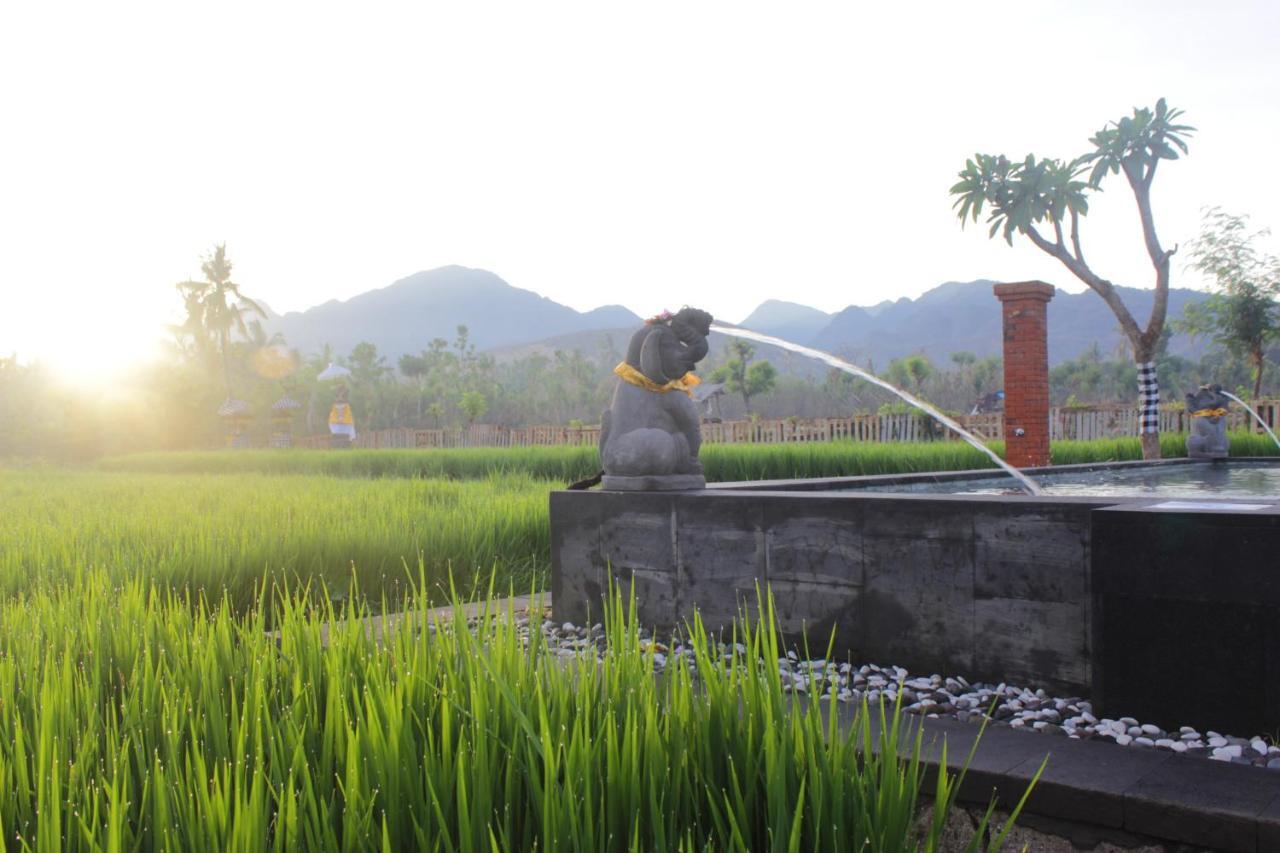 Отель Umma Bali Menjangan Retreat Баньюведанг Экстерьер фото